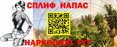 соль ск Краснознаменск