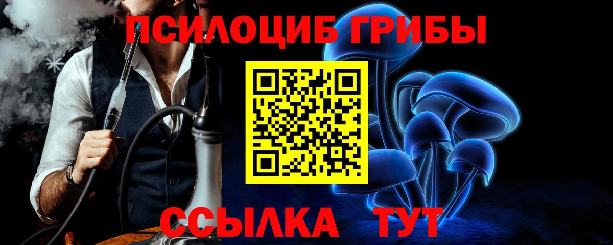 Уссурийск  Галлюциногенные грибы Psilocybine cubensis  Галлюциногенные грибы Cubensis  Вход с VPN 